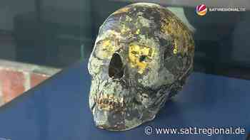 VIDEO | Lastensegler Gottfried sank vor 200 Jahren: Ausstellung im Wrackmuseum in Cuxhaven - SAT.1 REGIONAL - Sat.1 Regional