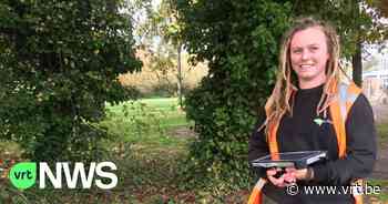 Lummen weet nu hoe het gesteld is met bijna 4.300 bomen - VRT NWS