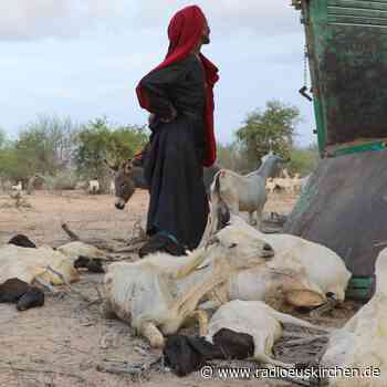 Schlimmste Dürre seit 40 Jahren - Millionen droht Hunger - radioeuskirchen.de