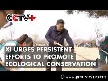 CCTV+: Xi urges persistent efforts to promote ecological conservation during tree-planting activity
