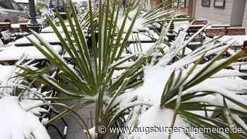 April, April: Auf den Palmen in der Augsburger Innenstadt liegt Schnee