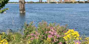 Friends of the St. Clair River, Thumb Land Conservancy Win Grants from Bioregion Reparation Fund - WGRT Local News