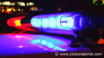 Woman, teen boy killed in St. Clair County crash; Woman, 2 toddlers hospitalized - WDIV ClickOnDetroit