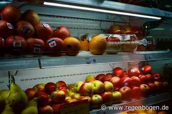 Bruchsal: Engpässe bei der Tafel - Regenbogen