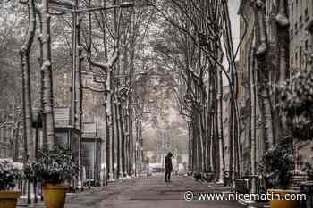 "Noël au balcon, Pâques aux tisons": début avril, la France agricole en mode combat face au froid