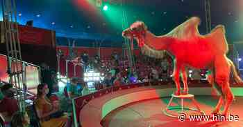 Win gratis tickets voor Circus Barones in Izegem - Het Laatste Nieuws