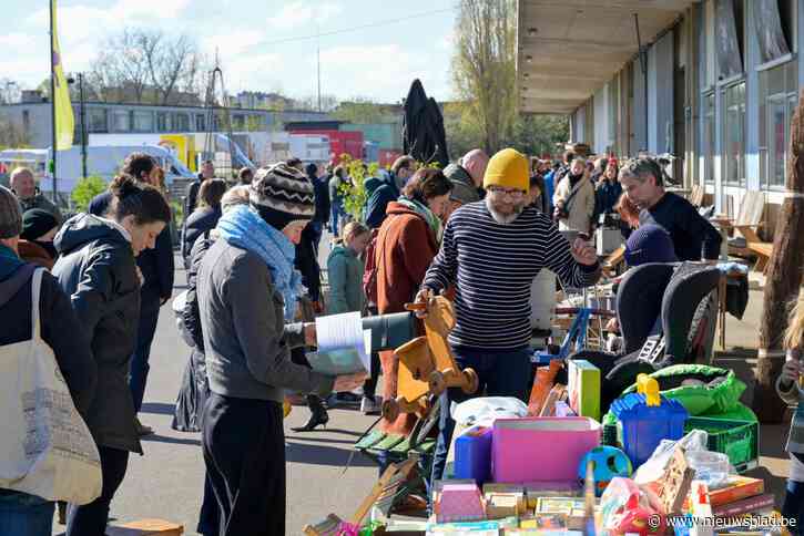 Garageverkoop in de Zomerfabriek: snuisteren op zoek naar verborgen schatten