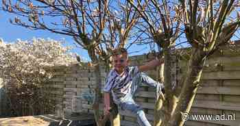 Tijn (6) vraagt: 'Hoe weet een boom dat het lente is?' - AD.nl