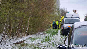 Auto tegen boom: bestuurder komt om - 1Limburg | Nieuws en sport uit Limburg