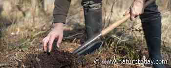 Juiste boom op de juiste plek - Nature Today