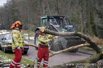 Boom valt over een weg in Velp - GelreNieuws