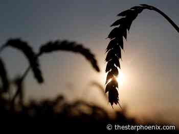 Sask. farmers pinched by inflation, drought say carbon tax hike another drag