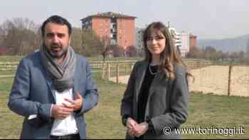 Moncalieri città del verde farà nascere un bosco con 3000 nuove piante - TorinOggi.it