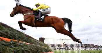 Grand National 2022: Harry Cobden excited to be partnering Lostintranslation - Liverpool Echo