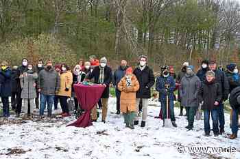 Hochzeitswald wächst: 29 Paare setzen neue Bäume