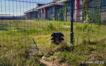 Nelson Mandela Bay Municipality let libraries go to ruin during lockdown - EWN