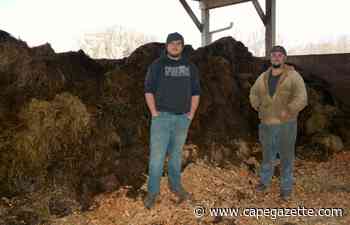 Nelson Warren uses his beef cow's manure to his advantage - CapeGazette.com