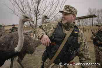 Heavy fighting rages near Kyiv as Russia appears to regroup - Nelson Star