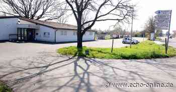 Die SV 07 Bischofsheim bleibt umtriebig - Echo Online