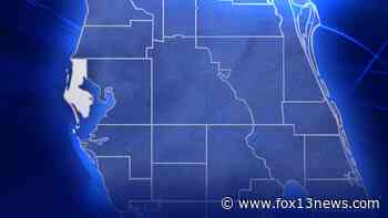 Bicyclist critically injured in crash near Pinellas Trail, police say - FOX 13 Tampa