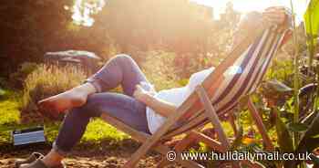 The 10 gardening jobs for April - Hull Live