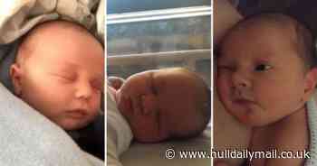 The adorable Hull lockdown babies who are now thriving toddlers and their incredible stories - Hull Live