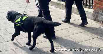 Police pledge to knock on every single door in Hull as part of major drugs crackdown - Hull Live