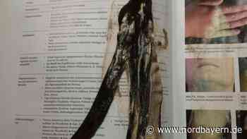 Foto geht viral: Kurioser Fund in Erlanger Universitätsbibliothek - Nordbayern.de