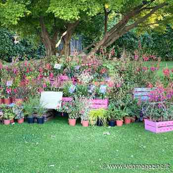 Monza Green Experience, una storia breve con un grande futuro - VdgMagazine