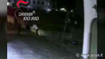 Monza, Baby gang aggrediva per drink: 13 indagati - Italia - Agenzia ANSA