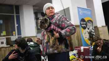 Temporary 'homestays' in Canada could be a risky but necessary solution for Ukrainians fleeing war