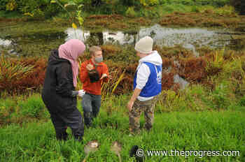 City of Chilliwack kicks off Earth Month with guided nature sessions and other green events – Chilliwack Progress - Chilliwack Progress
