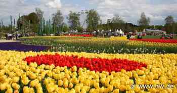 Landesgartenschau in Verl? Plötzlich Konkurrenz in direkter Nachbarschaft - Neue Westfälische