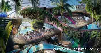 New £250m waterpark to have UK's first all-season beach - Hull Live