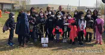 Un 'no' alla mafia dalle elementari di Fucecchio - gonews