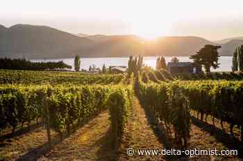 B.C. farms and agribusinesses hoping for return to normalcy - Delta Optimist