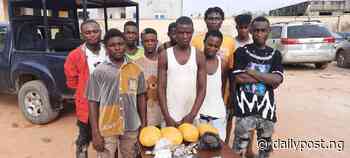 Police arrest 10 suspected cultists with illicit drugs in Delta - Daily Post Nigeria
