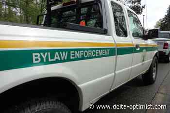 Dog put down in Delta after three injured in attacks - Delta Optimist