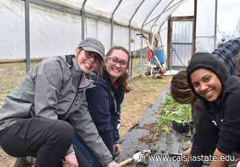 First Study USA program connects students to the Mississippi Delta - College of Agriculture and Life Sciences