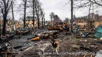 Ukraine-Krieg: Gräueltaten in Butscha schockieren die Welt