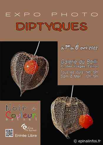 "Diptyques", à découvrir dès ce vendredi ! - Epinal infos - Epinal Infos