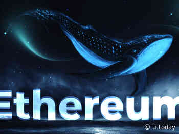 Ethereum Mega Whales Accumulate 0.59% of ETH Total Supply Leading Up to Recent Rally - U.Today