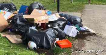 'Culture of littering': Linwood neighbors shine light on illegal dumping in Cincinnati - WCPO 9 Cincinnati