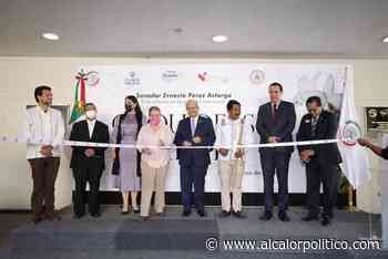 Presentan en el Senado exposición las “Orquídeas de Coatepec” - alcalorpolitico