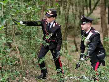 Spaccio di droga nel Parco Groane, un arresto a Solaro - Il Notiziario