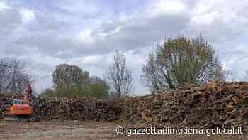 Modena. La denuncia: «Centinaia di alberi abbattuti a San Damaso» - La Gazzetta di Modena