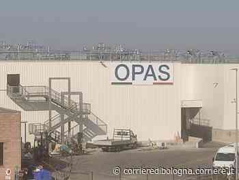 Modena, fanno fallire Italcarni, poi favoriscono un creditore: indagati quattro dirigenti - Corriere della Sera