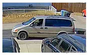 Arrest made in connection to southeast Calgary shooting