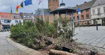 Oeps, bochtje gemist? Chauffeur maait paaltjes en beplanting weg op Markt Aalter - Het Laatste Nieuws