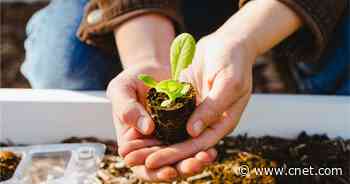 Best Garden and Seed Delivery Services for 2022     - CNET